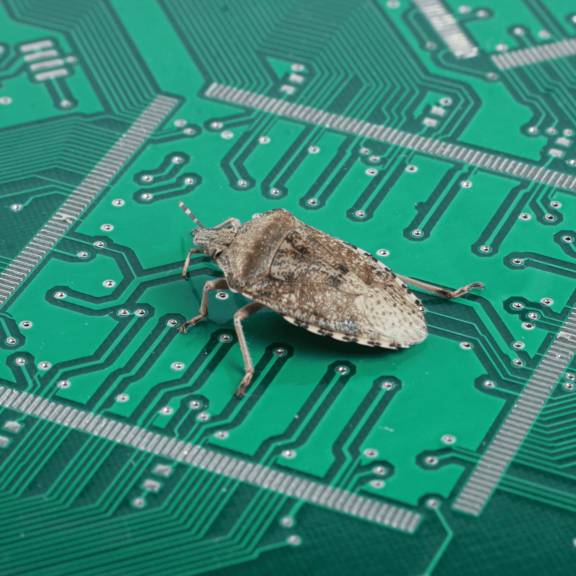 Qual foi o primeiro bug de computador da história? Conheça a origem do termo