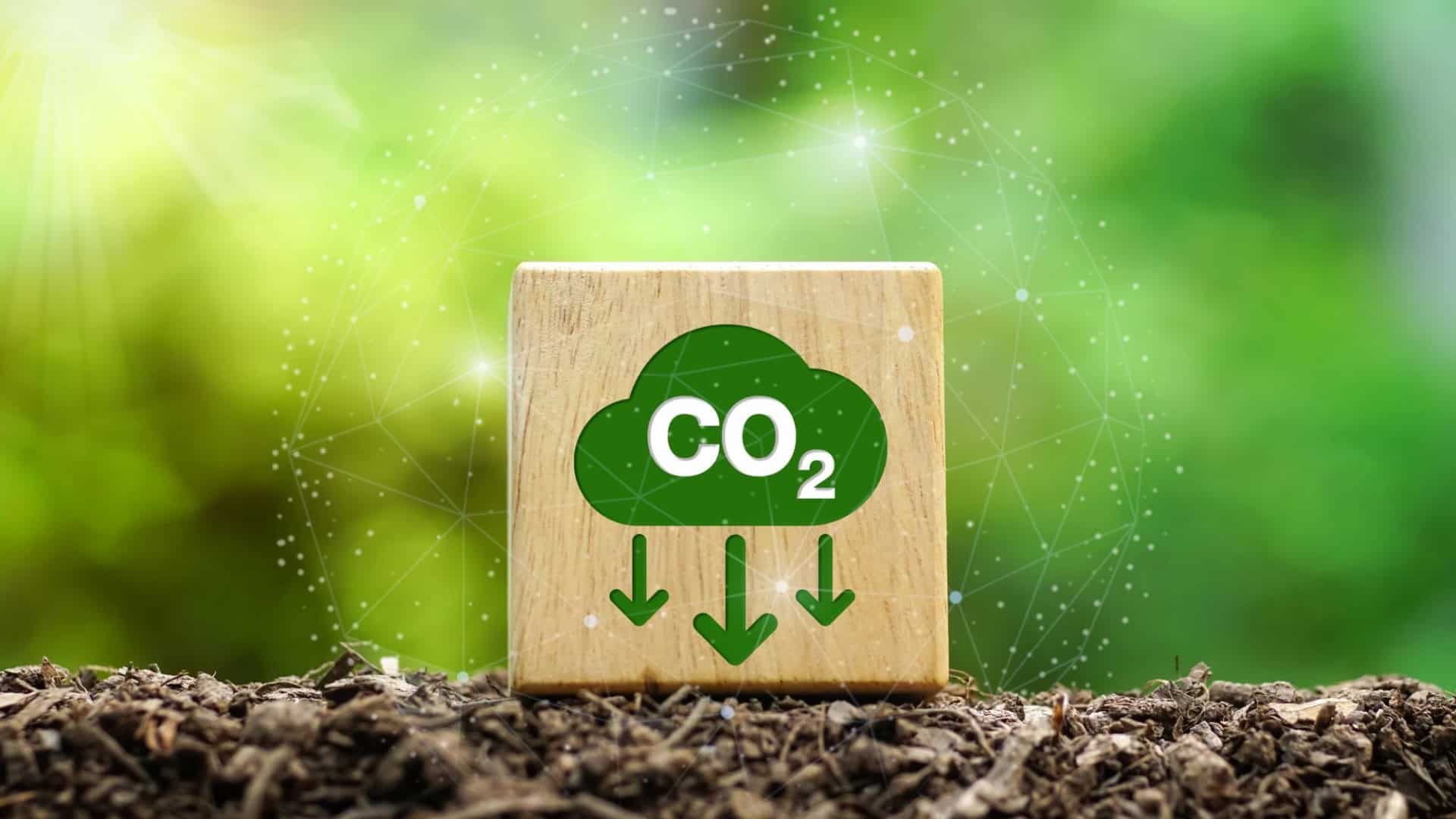 carbono