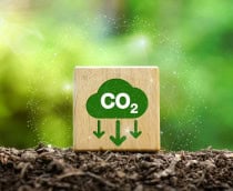 carbono