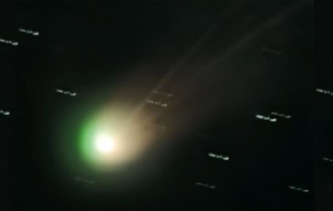 cometa-lemmon-365x232