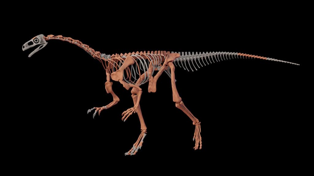 conceito dinossauro