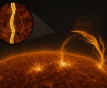 coroa-do-sol-torcidos-1-210x172