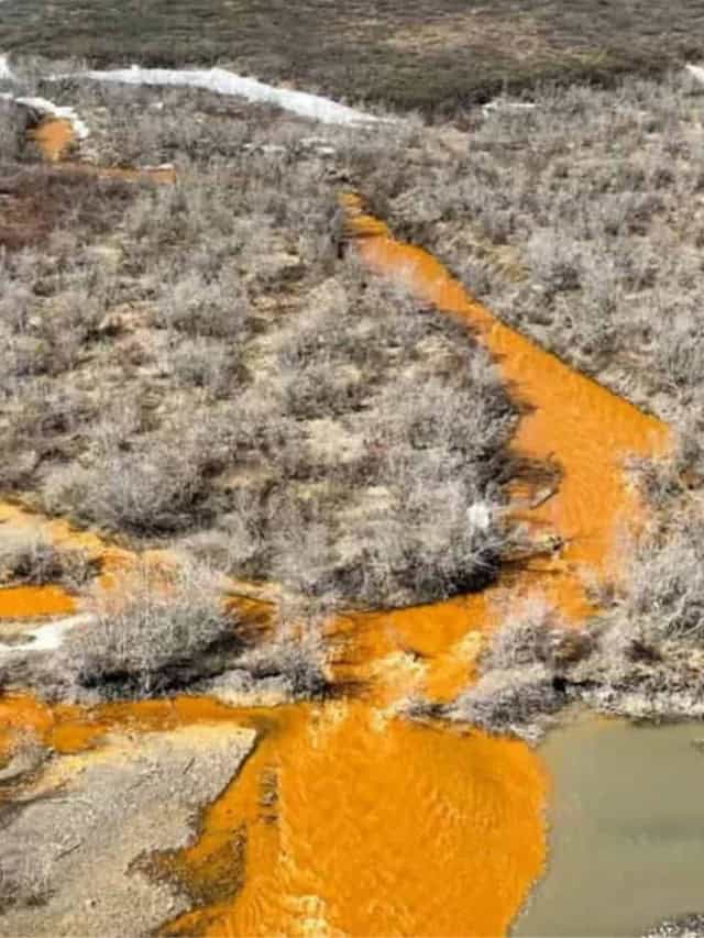 Rios do Ártico estão ficando alaranjados – e o motivo está no gelo