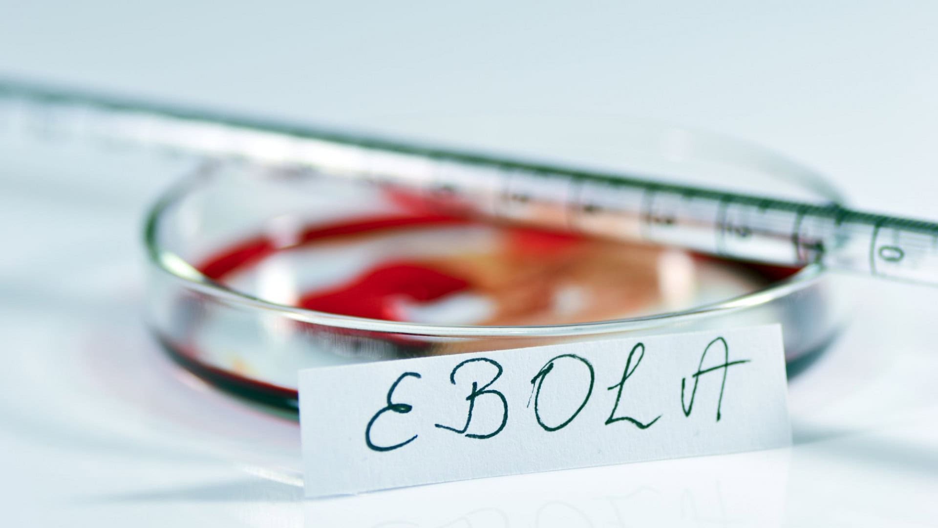 ebola