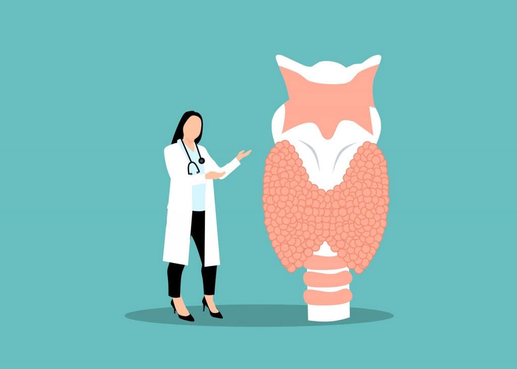 Ilustração de uma médica endocrinologista e da glândula tireoide