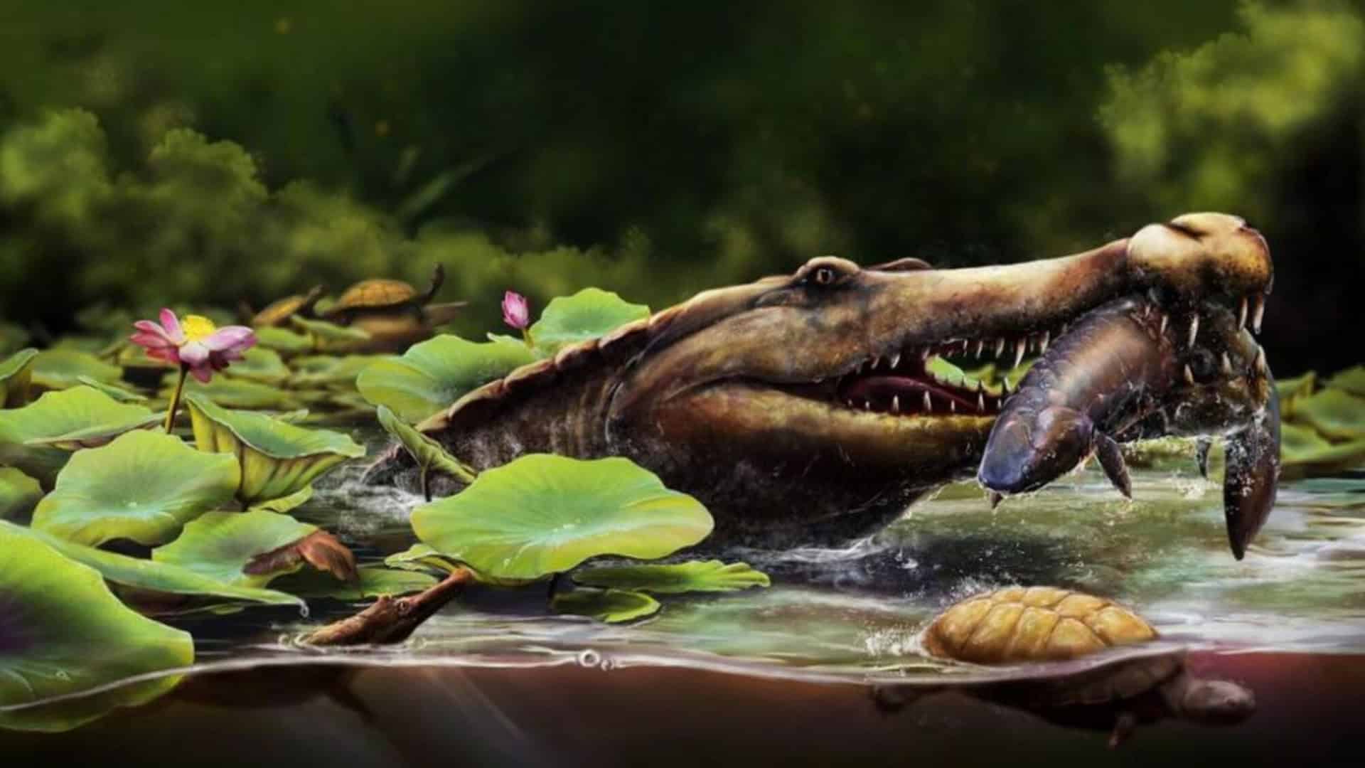 especie crocodilo