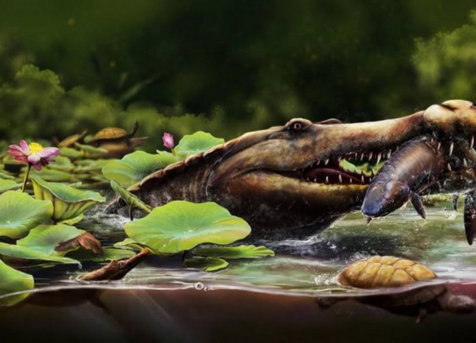 especie crocodilo