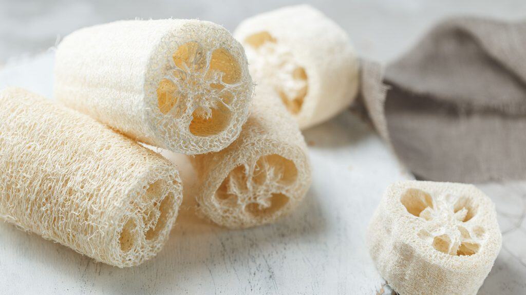 7 problemas de saúde que o uso da bucha no banho pode provocar O uso da bucha (ou esponja) de banho é um costume antigo e bastante popular entre os brasileiros. Muitas pessoas acreditam que ela é essencial para a limpeza da pele, mas dermatologistas alertam que o hábito pode ser mais prejudicial do que benéfico. 7 problemas de saúde que o uso da bucha no banho pode provocar
