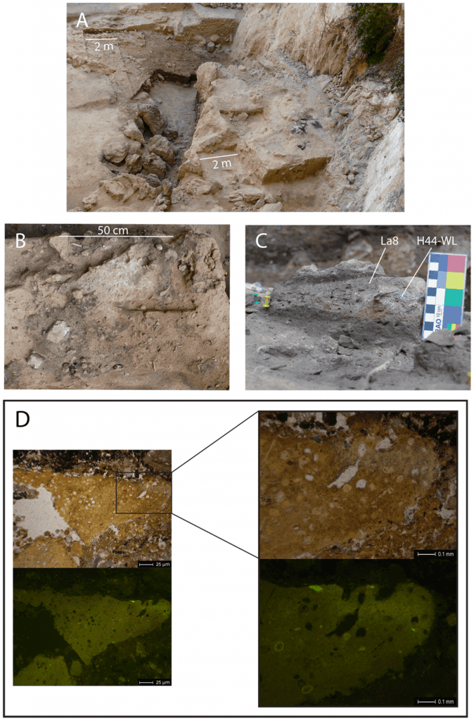 fezes neandertais