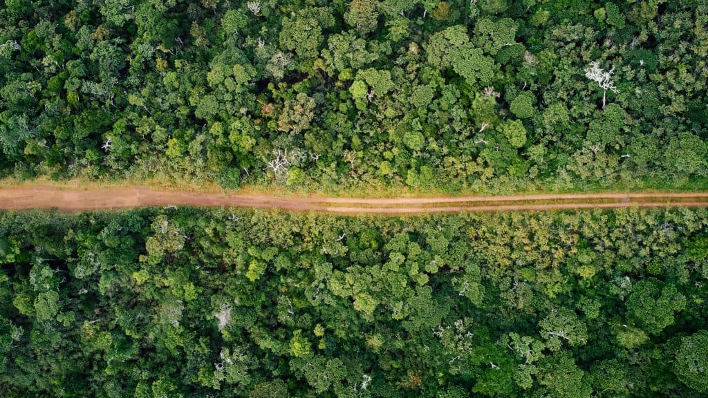 floresta-africa-1