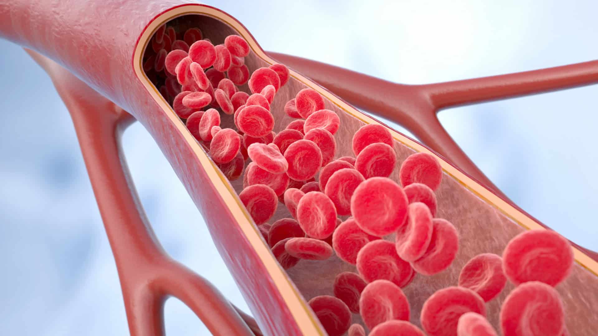 Novo ultrassom permite visualizar microcirculação e melhora diagnóstico de doenças