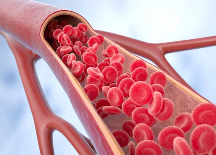 Novo ultrassom permite visualizar microcirculação e melhora diagnóstico de doenças