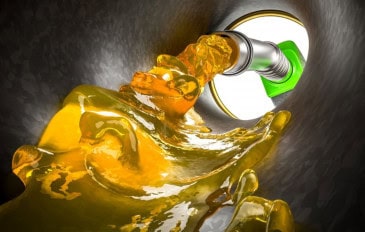 Gasolina