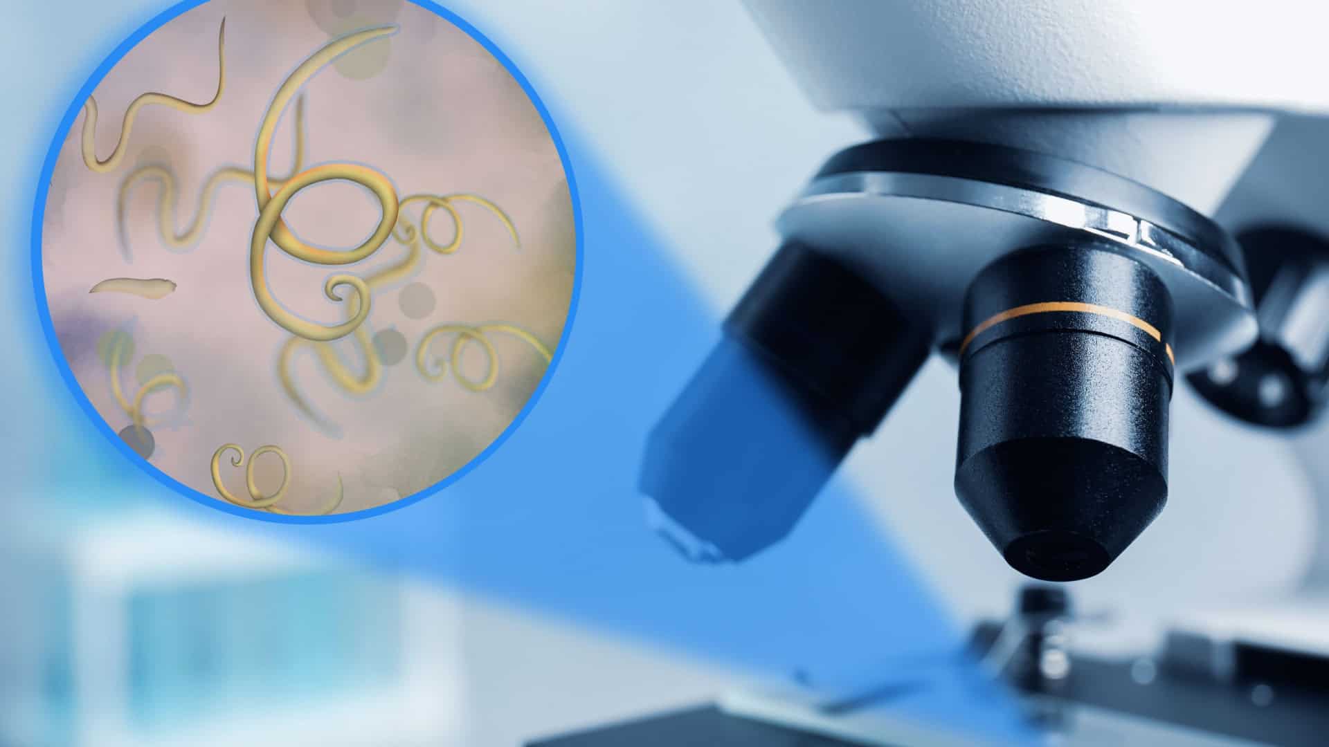 Microscópio em um laboratório