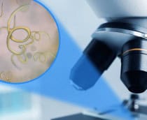 Microscópio em um laboratório