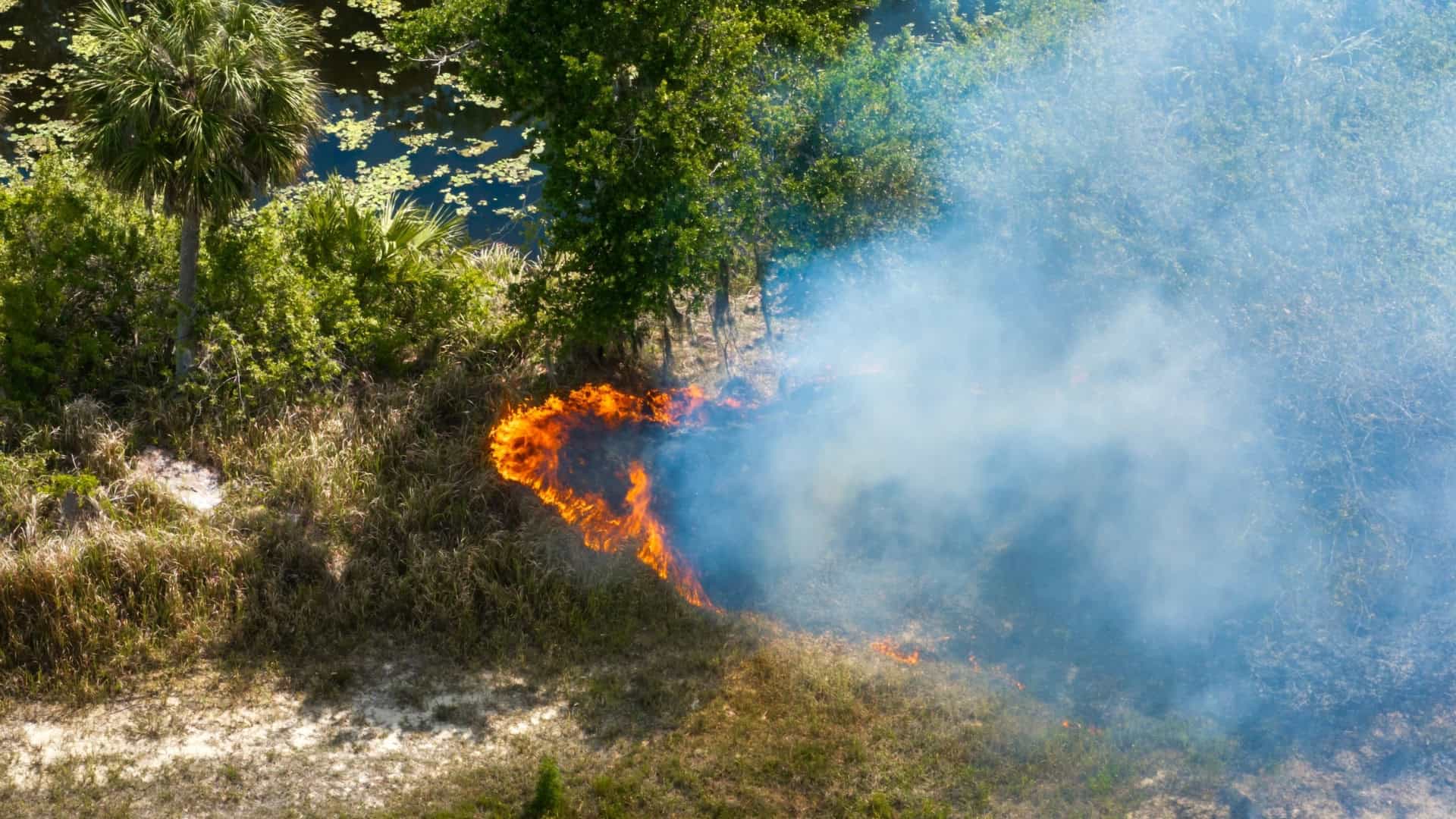 Tecnologia de infrasom promete extinguir incêndios sem água