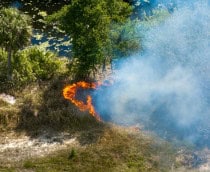 Tecnologia de infrasom promete extinguir incêndios sem água