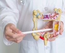 Pesquisadores usam IA para entender inflamações no intestino e resolver mistério genético