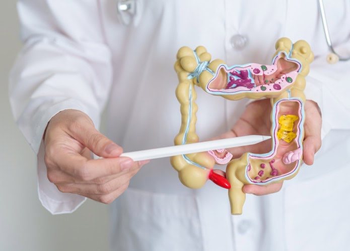 Pesquisadores usam IA para entender inflamações no intestino e resolver mistério genético