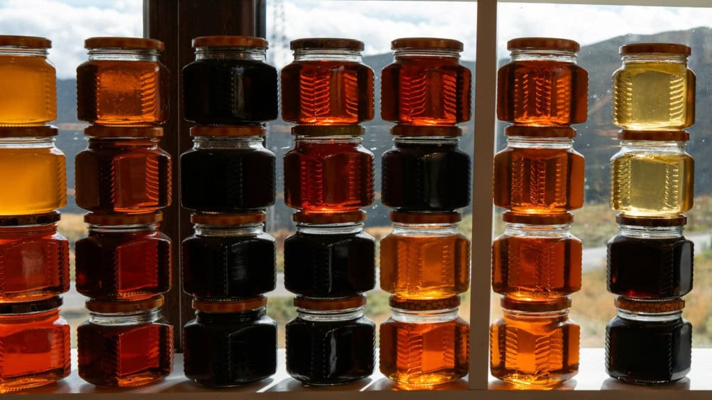 Reciclagem. Imagem: Josip Ivankovic