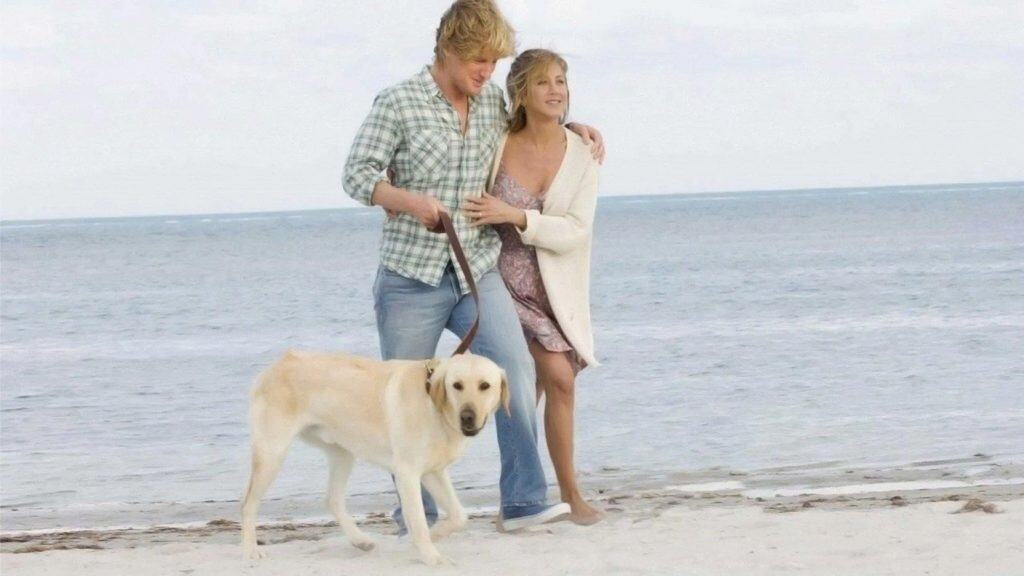 casal na praia com cachorro