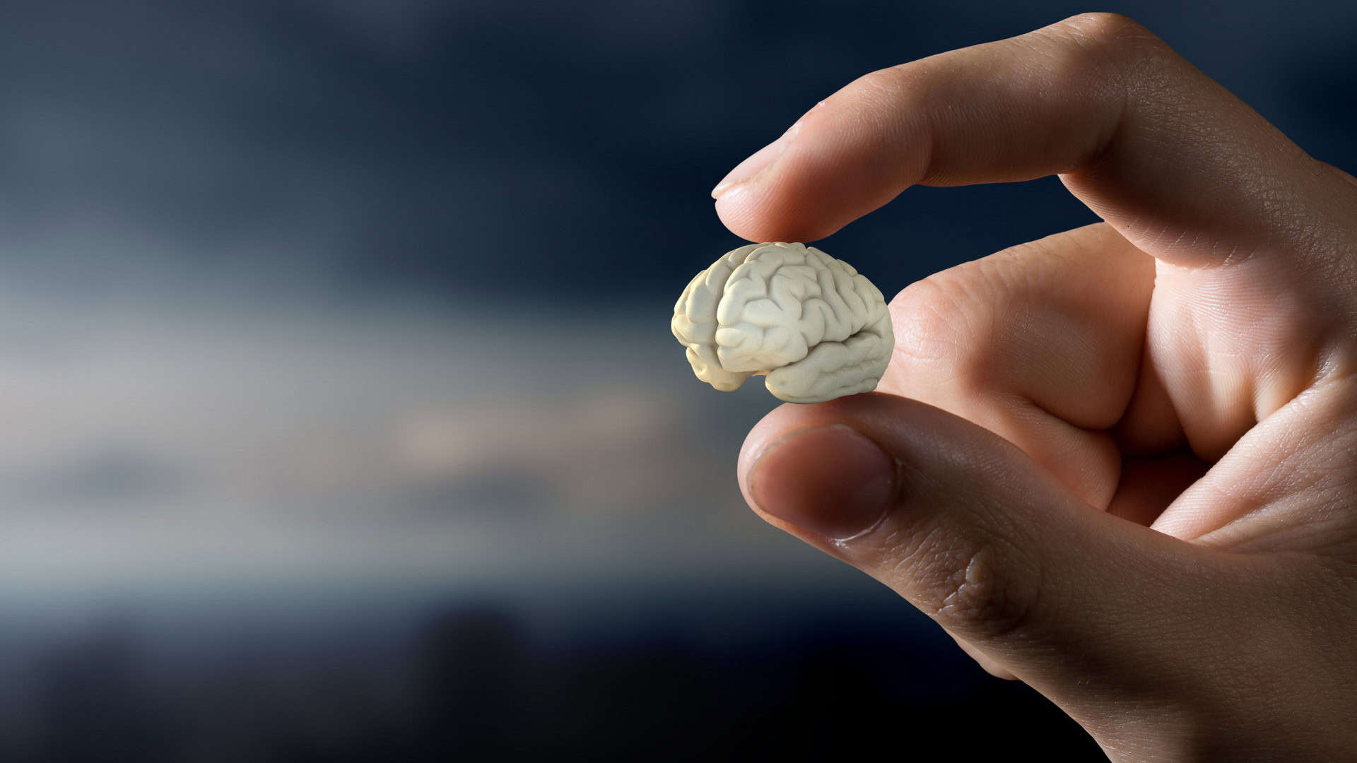 Biocomputação: como mini cérebros estão impulsionando a próxima era da IA