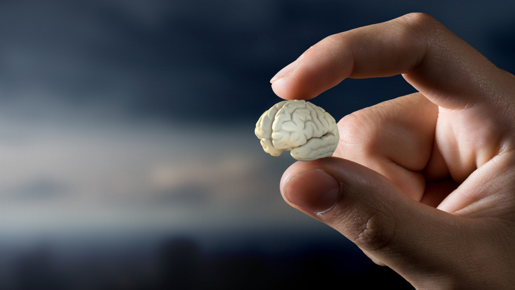 Biocomputação: como mini cérebros estão impulsionando a próxima era da IA