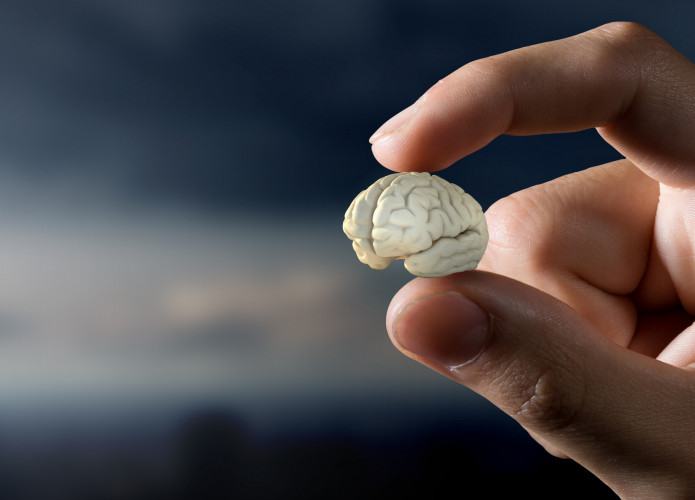 Biocomputação: como mini cérebros estão impulsionando a próxima era da IA