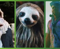 Filmes Trash: Bad Taste, Garras Vorazes e Popeye Revenge