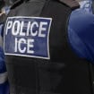police ice