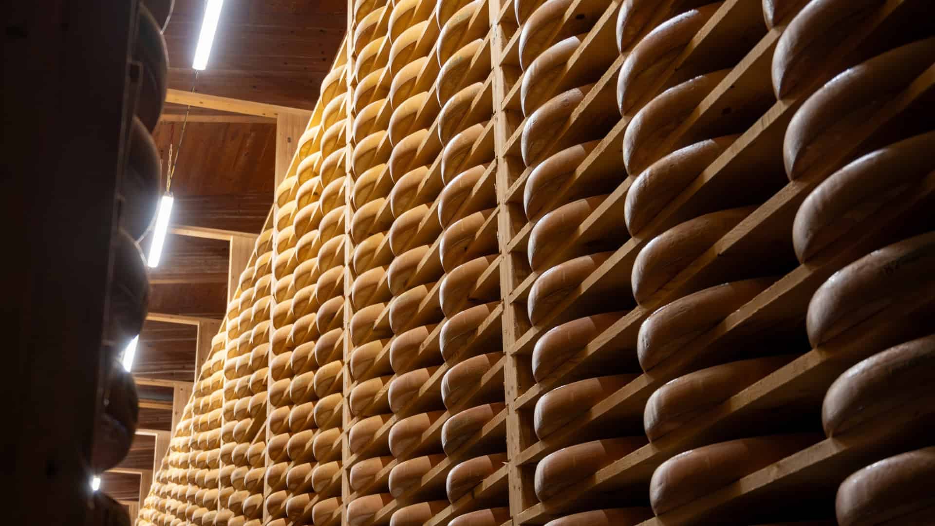 queijo-1-1920x1080