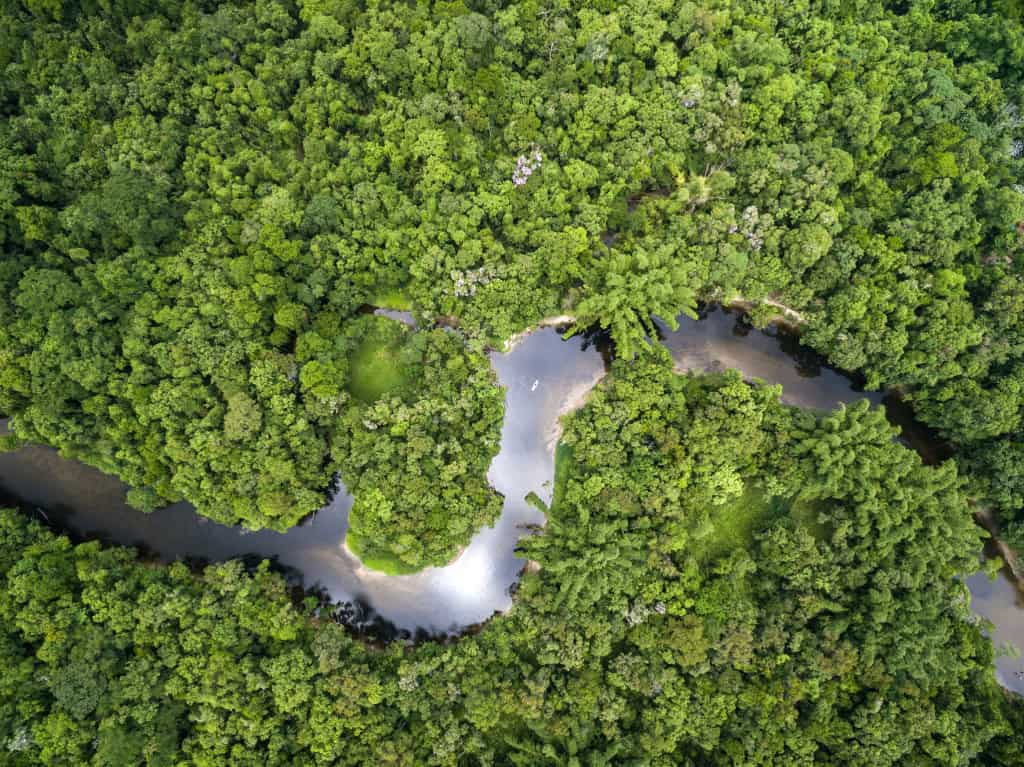 rio amazonas