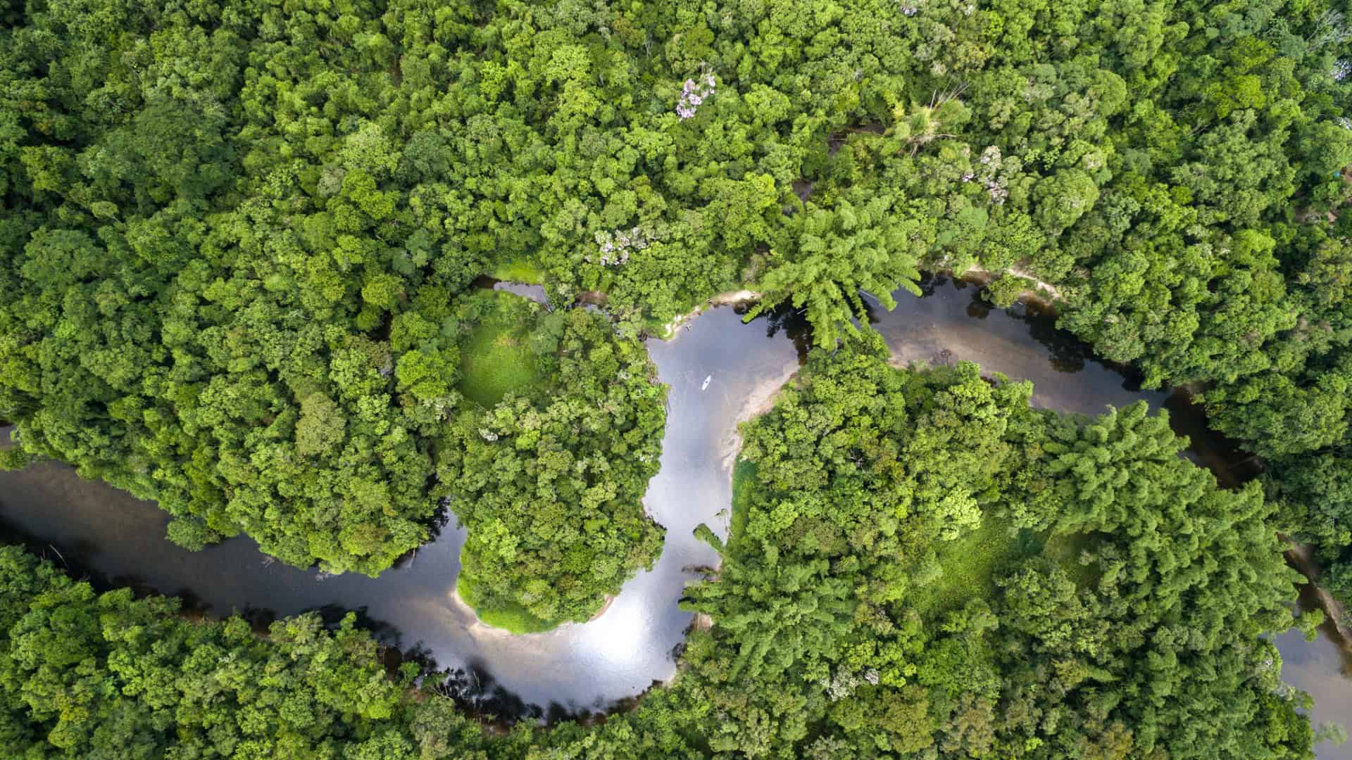 rio amazonas