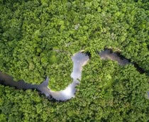 rio amazonas