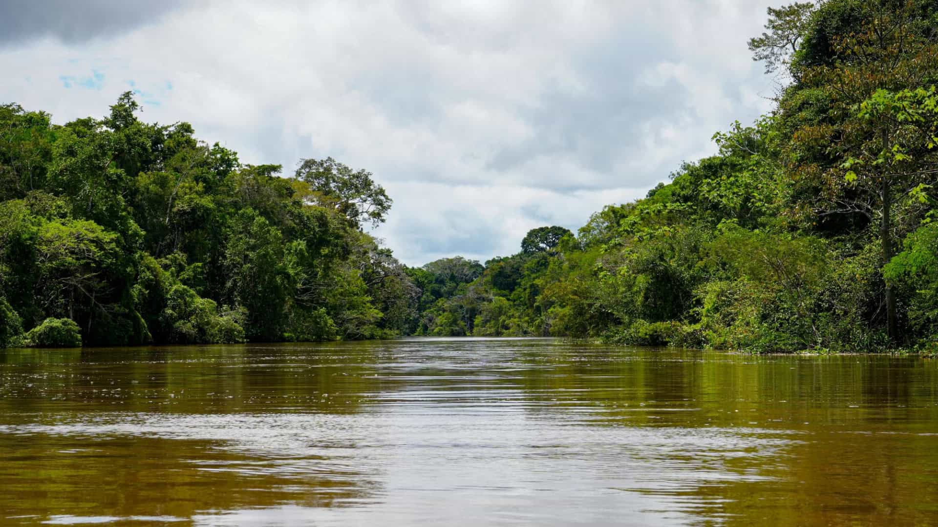 rio amazonas