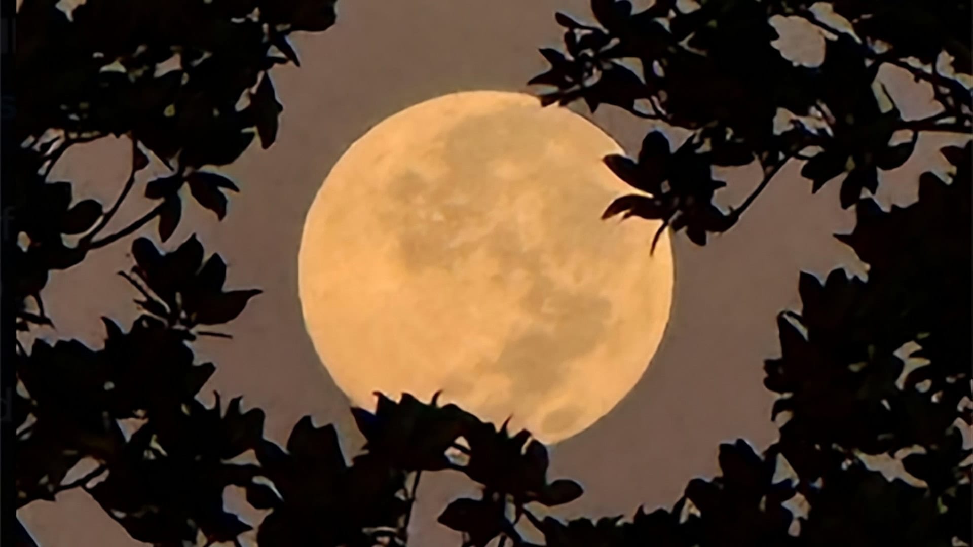 superlua-out-2025-1-1920x1080