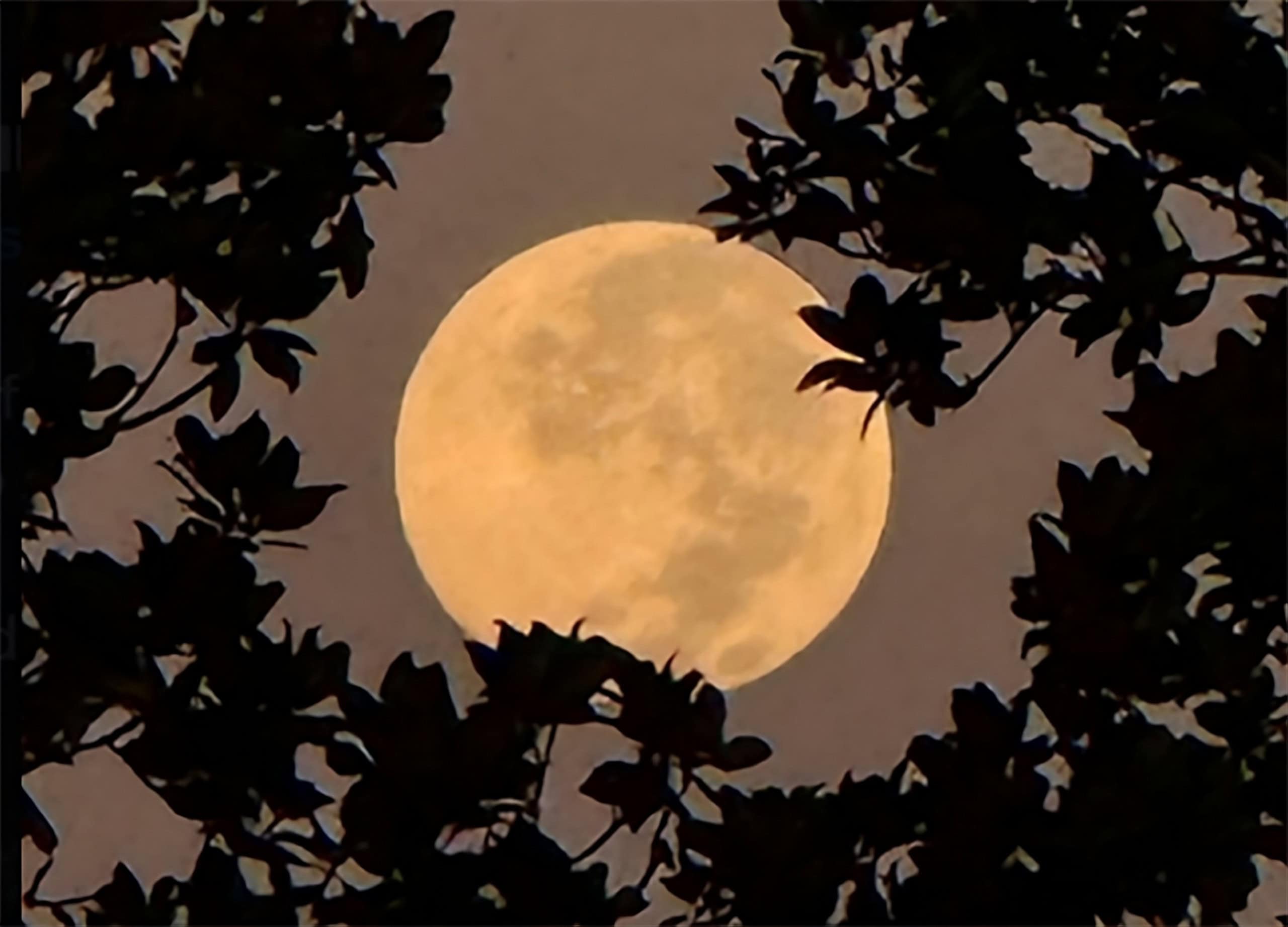 Última Superlua de 2025 ilumina o céu esta semana