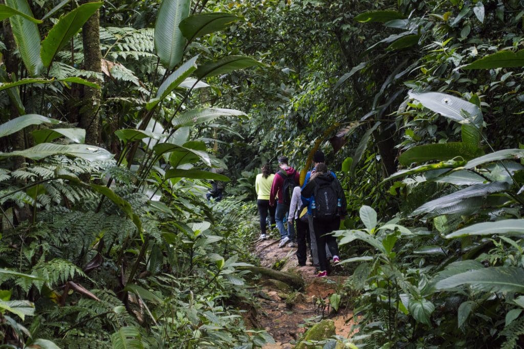 Febre maculosa: parque no interior de São Paulo é interditado Após confirmar a morte de três pessoas por febre maculosa, a prefeitura de Salto, no interior de São Paulo, informou que o Parque de Lavras, administrado por uma concessionária, está temporariamente interditado por determinação do Centro de Vigilância Epidemiológica Estadual. Duas das vítimas eram frequentadoras do parque, segundo a gestão municipal. Já o outro caso é de um morador de propriedade privada na cidade. trilha