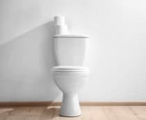 vaso-sanitario-1-1-210x172
