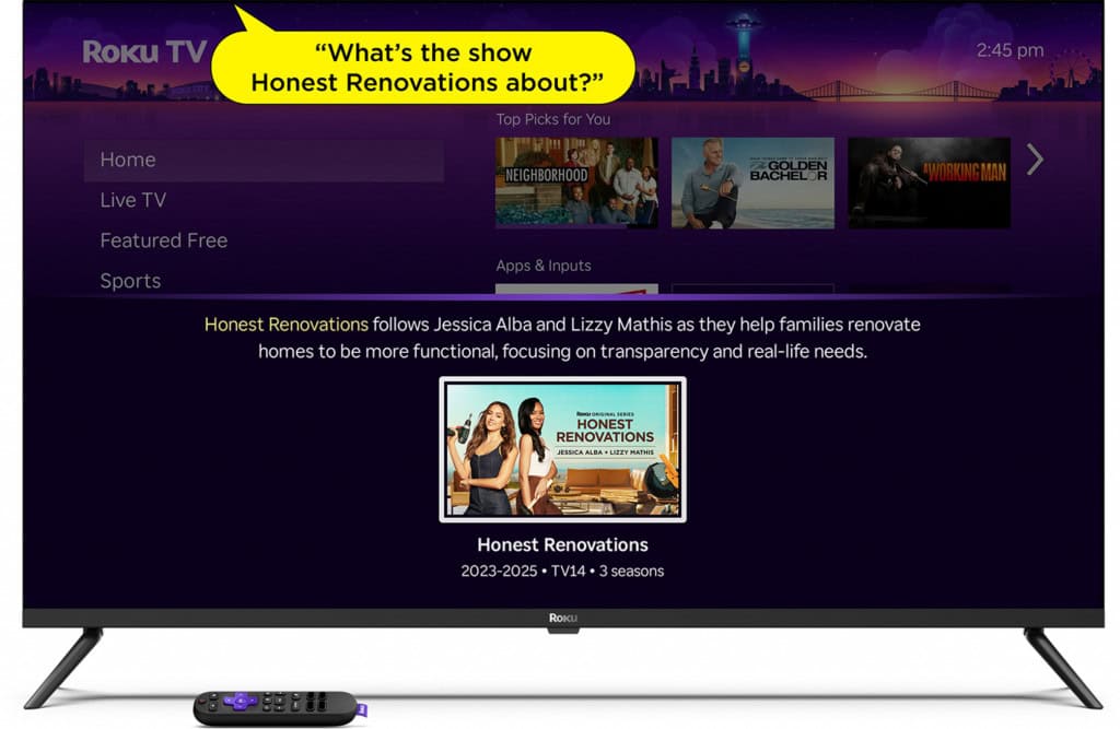 voice roku