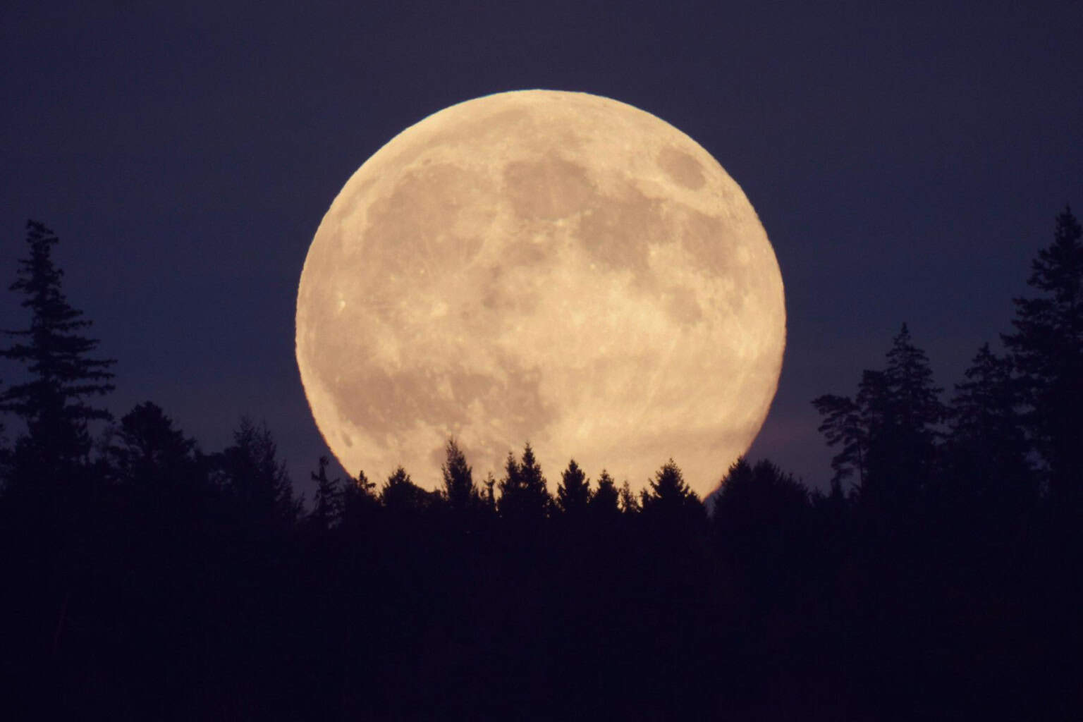 Andreas Walker Superlua Sua