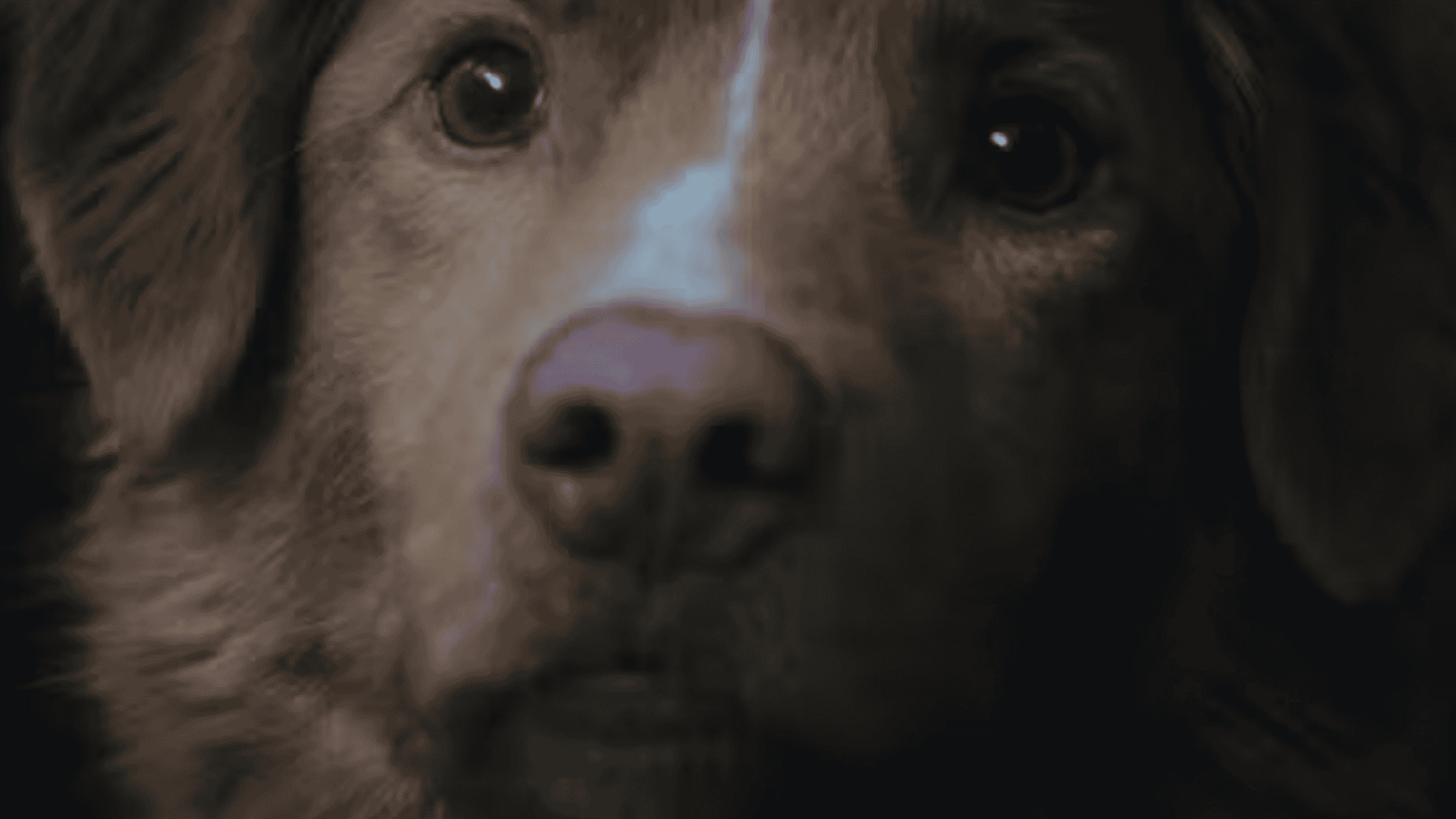 cena extra do filme Bom Menino