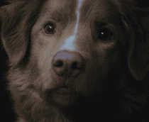 cena extra do filme Bom Menino