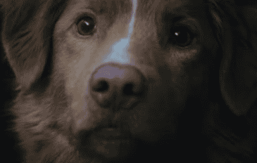 cena extra do filme Bom Menino