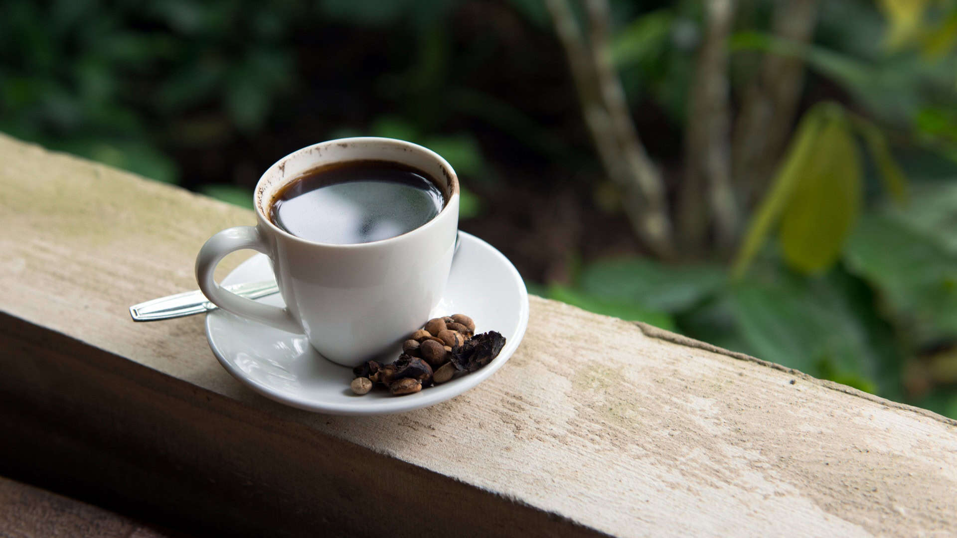 Uma xícara de Kopi Luwak, o café mais caro do mundo, originário de Bali, Indonésia