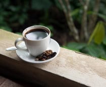 Uma xícara de Kopi Luwak, o café mais caro do mundo, originário de Bali, Indonésia