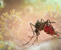 Design-sem-nome-18-210x172