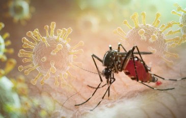 Design-sem-nome-18-365x232