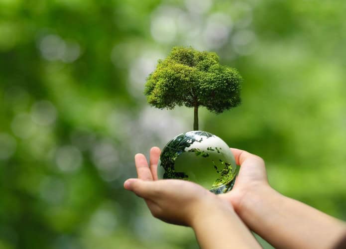Pessoa segurando, com as duas mãos, miniatura do planeta Terra da qual sai uma pequena árvore