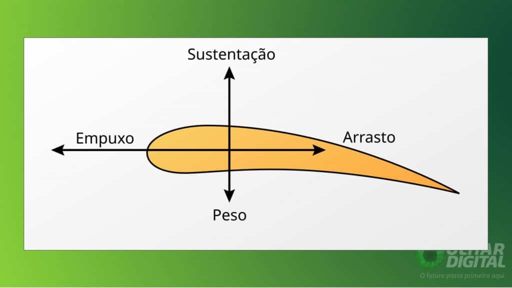 Forças de voo em um perfil aerodinâmico